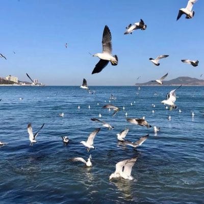 Andrea Brillantes avatar